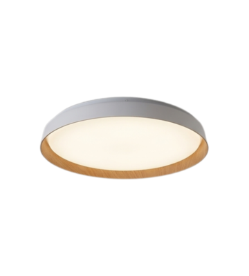 LAMPARA DE TECHO LED PLAFON BLANCO 24W CCT